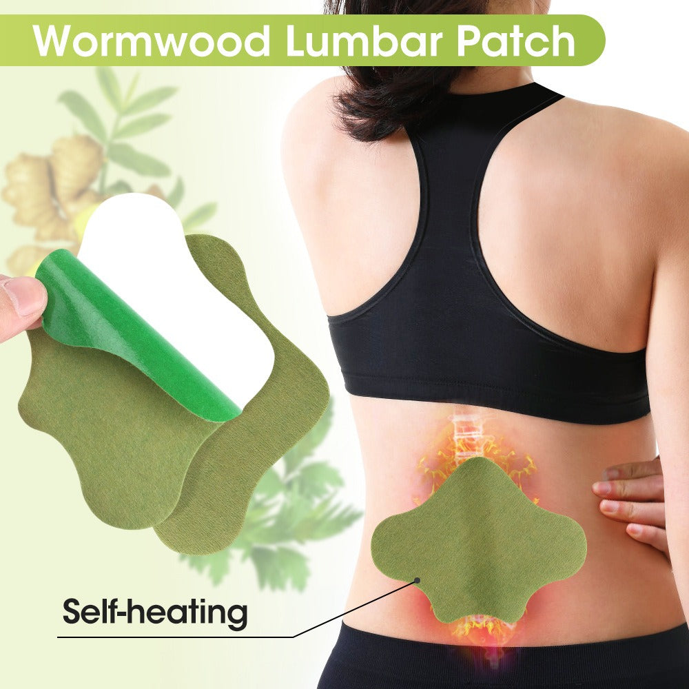 EELHOE Mugwort pain relief patch to relieve joint, lumbar, cervical, knee, leg and tendon pain