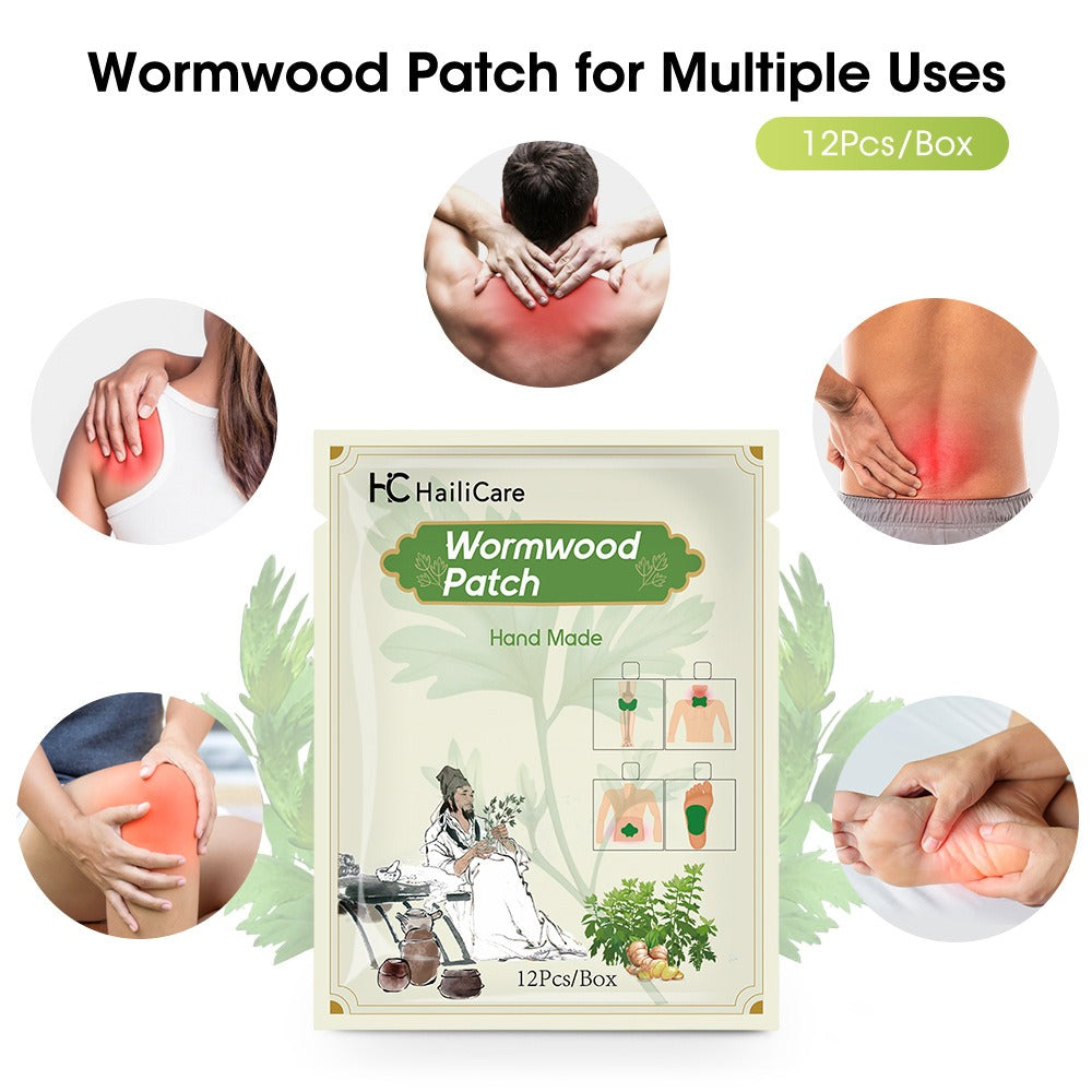 EELHOE Mugwort pain relief patch to relieve joint, lumbar, cervical, knee, leg and tendon pain